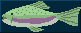 Fish and chat